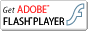 Get macromedia flash player