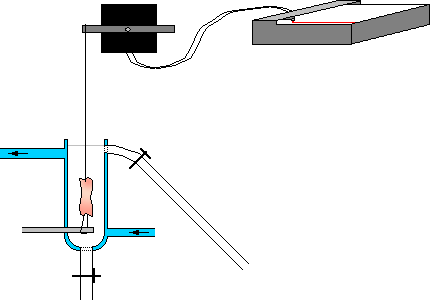 Apparatus