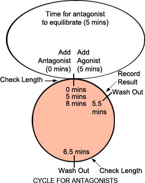 Antagonist Cycle