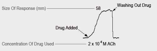 Explanation Of Trace